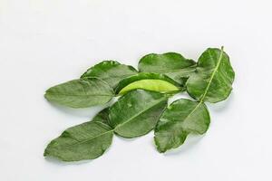 Aroma seasoning kaffir lime leaves photo