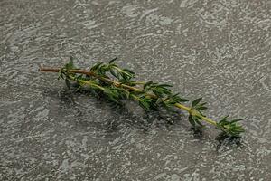 Aroma seasoning thyme stem with leaves photo