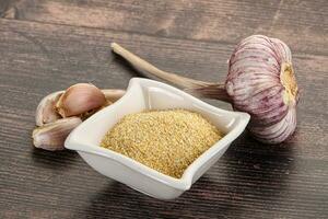 Dry granulated garlic aroma seasoning photo