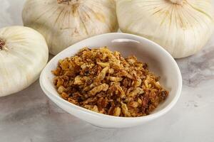 Dried roasted onion flakes for culinary photo