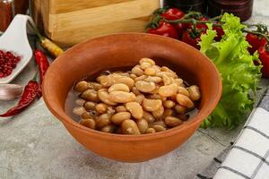 White canned beans in the bowl photo