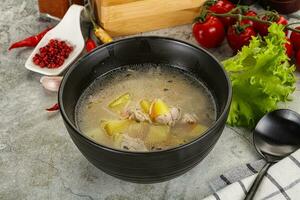 Homemade chicken soup with vegetables photo