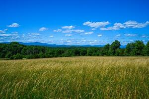 Appalachian Summer Fields photo