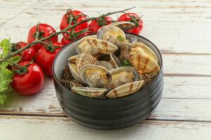 Vongole shellfish mollusc clem with butter photo