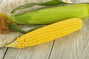 Yellow sweet raw cob corn photo