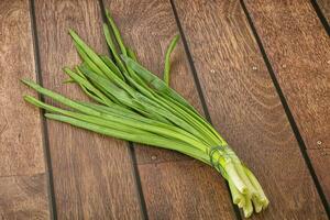 Raw young green onion heap photo