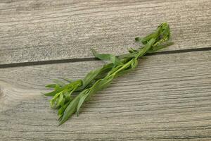 Green tarragon herb spice for cooking photo