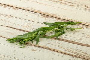 Green tarragon herb spice for cooking photo