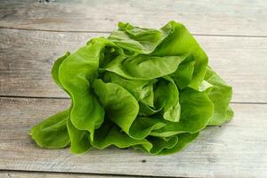 Salad leaves heap for snack photo