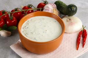 Traditional delicious appetizer greek tzatziki photo