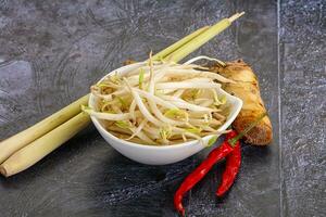 Asian cuisine Mash bean sprout photo