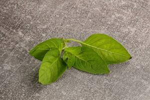 Raw green basil leaves seasoning photo