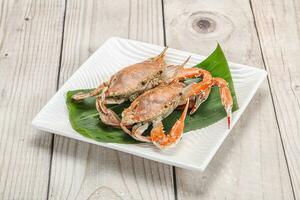 Yummy boiled crab in the plate photo