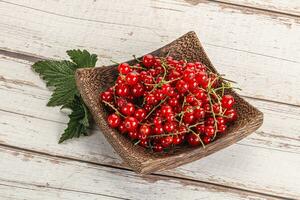 Sweet ripe red currant berries photo