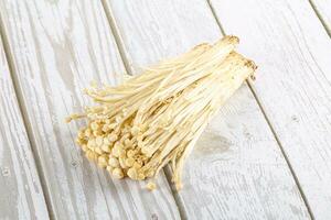 Tasty raw enoki mushroom heap photo