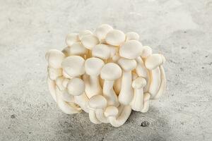 Japanese Shimeji mushroom for cooking photo