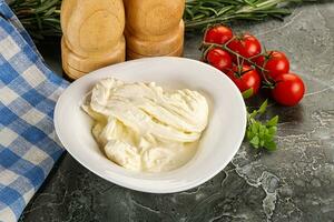 Italian delicous stracciatella cheese photo