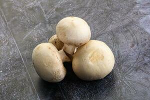 Natural organic ripe champignon mushrooms photo