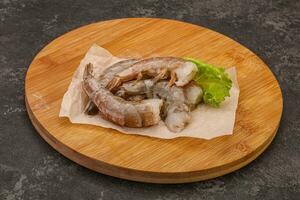 Raw tiger prawn for cooking photo