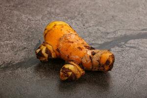 Fresh curcuma root for cooking photo