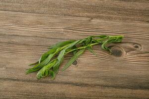 Green tarragon herb spice for cooking photo