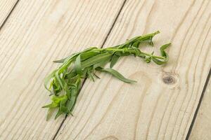 Green tarragon herb spice for cooking photo