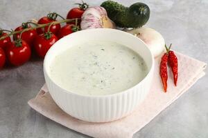 Traditional delicious appetizer greek tzatziki photo