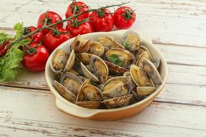 Vongole shellfish mollusc clem with butter photo