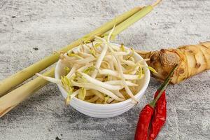 Asian cuisine Mash bean sprout photo