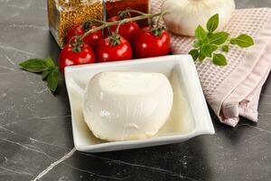 Italian cheese mozzarella buffalo ball photo