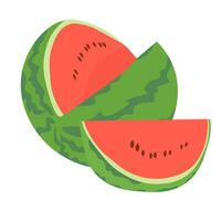 Red striped watermelon, whole and cut, and slice, juicy fruit, melon crop vector