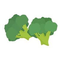 Two sprigs of broccoli, a healthy green vegetable rich in vitamins vector
