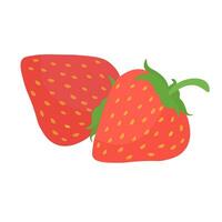 dos rojo fresas, jugoso Fruta en plano estilo para diseño vector