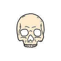 skull vector illustration template design