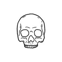 skull vector illustration template design