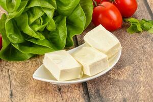 Greek traditional Feta cheese in the plate photo