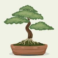 bonsai árbol en un maceta en un blanco antecedentes vector