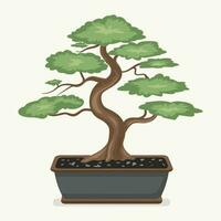 bonsai árbol en un maceta en un blanco antecedentes vector