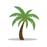 Ilustración de vector de palmera aislada sobre fondo blanco