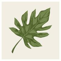 jungle tree leaf vector