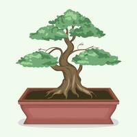 bonsai árbol en un maceta en un blanco antecedentes vector