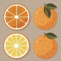 a set of oranges with leaves and slices vector