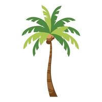 Ilustración de vector de palmera aislada sobre fondo blanco