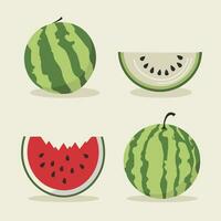 watermelon flat vector illustration set