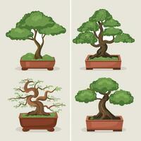 bonsai tree vector illustration set