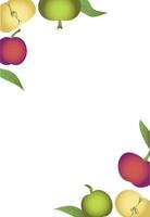 Apples Border Vector