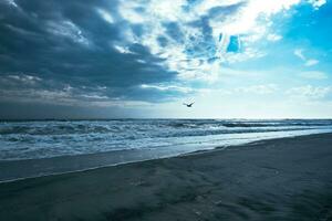 Stormy Winter Ocean photo