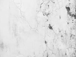 old dirty white wall with mold texture background photo