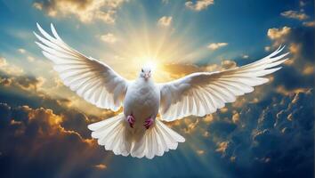 AI generated White dove against the sky with clouds photo