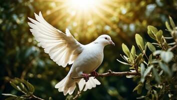 AI generated White dove on a background of a tree branch photo